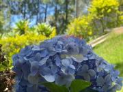 Chacara Residencial ou Comercial Suzano