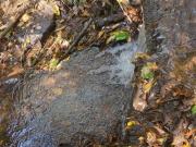 Chácara, Rural, Uberlândia, MG