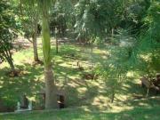 Chácara Usina Três Bocas