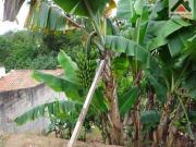 Chácaras à venda em Guararema/SP Compre o seu chácaras aqui!