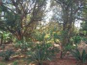 CHACARAS ELDORADO A VENDA EM UBERLANDIA