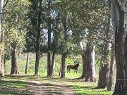 Chacra 47 has en Kilometro 61 Fátima Manzanares Pilar