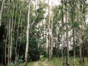 Chacra Colonia del Sacramento