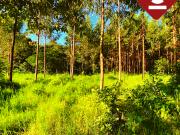 Chacra de 3.3 hectÃ¡reas