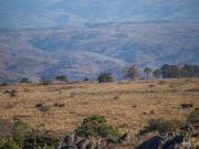 Chacra en ATOS PAMPA, 6.5 Ha, con CHALET DE TRES DORM,...