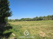 Chacra en Centenario