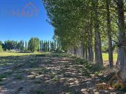 Chacra en Cipolletti