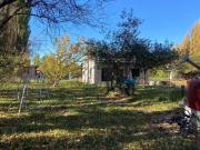 Chacra en Cipolletti