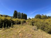 Chacra en Mallin Ahogado