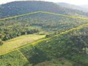 Chacra en Venta de 49 Ha en Aristóbulo del Valle
