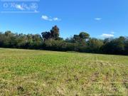 Chacra en venta de 4 has en Abasto Partido de La Plata !