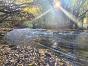 Chacra en venta. El Bolsón, Bariloche. Río Negro