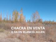 CHACRA EN VENTA EN ALLEN