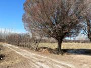 Chacra en Venta Ruta 22 Allen