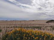 Chacra Frente al Mar en Verdemar entre Las Toninas y...