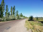 Chacra Venta Excelente ubicación General Roca R006