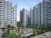 Chakan Shop Shop For Sale Pune