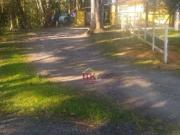 Chalé à venda na Zona Rural de Paraibuna