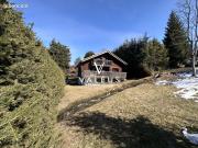 Chalet 10 pièces 295 m²