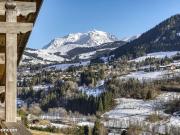 Chalet 10 pièces 336 m²