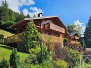 Chalet avec terrasse