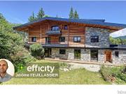 Chalet 18 pièces 370 m²