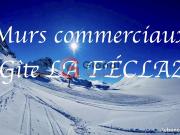 Chalet 19 pièces 600 m²