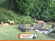 Chalet 3 pièces 42 m² Chalet 3 pièces 42 m²