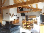 Chalet 6 pièces 356 m²