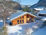 Chalet 7 pièces + Terrain constructible Skis aux pieds