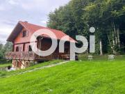 Chalet À Vendre 74m² Anould