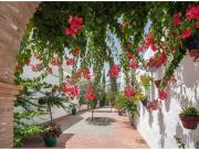 Casa Venta Estepona, Parque Central