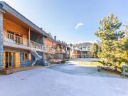 Chalet, Alp