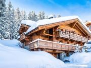 Chalet Alpina Propriété de standing proche des pistes