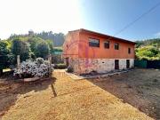 Chalet, Arbo
