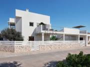 Chalet, Arta