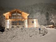 Chalet au pied des plus beaux domaines skiables des Alpes