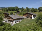Chalet avec terrasse