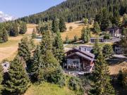 Chalet avec terrasse