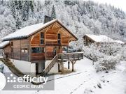 Chalet avec terrasse