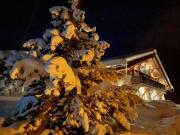 Chalet avec terrasse