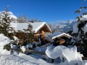 Chalet avec terrasse