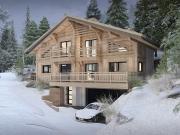 Chalet avec terrasse