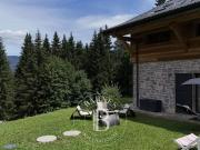 Chalet avec terrasse