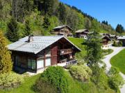 Chalet Vue Panoramique Les Gets 259m² Les Gets