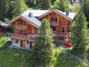 Chalet avec vue panoramique