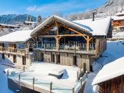 Chalet avec vue panoramique et terrasse