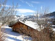 Chalet Barbara Vue exceptionnelle sur le Mont Blanc