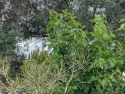 Chalet, Campanillas, Málaga