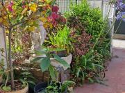 Chalet, Castro Urdiales